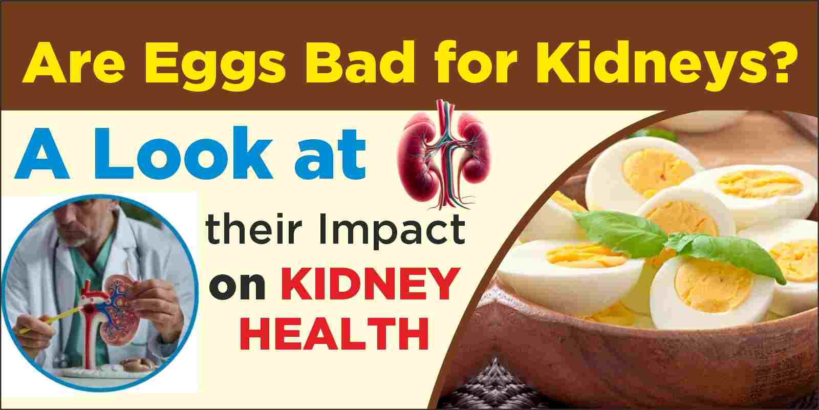 eggs are bad for kidneys, Karma Ayurveda Hospital, Karma Ayurveda